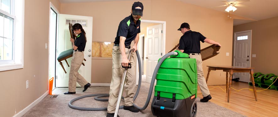 Van Nuys South, CA cleaning services